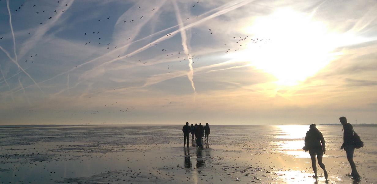 Ebbe und Flut an der Nordsee - das Phänomen der Gezeiten