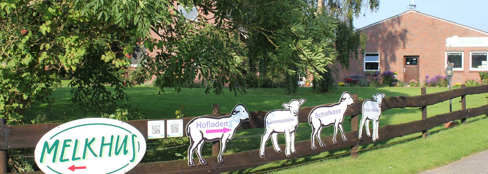 Urlaub Auf Dem Bauernhof An Der Nordsee Buchen