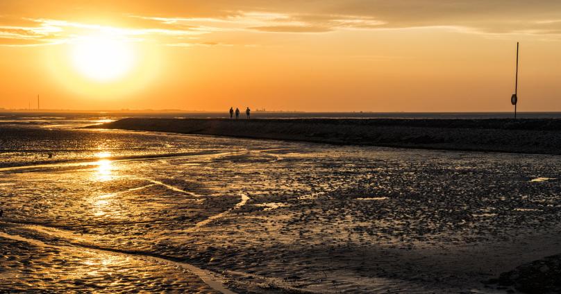 Wattenmeer Nordsee Niedersachsen Urlaub Am Weltnaturerbe