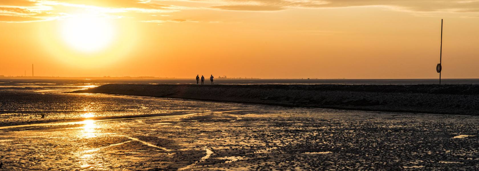 Nationalpark Niedersachsisches Wattenmeer Leben Mit Den Gezeiten